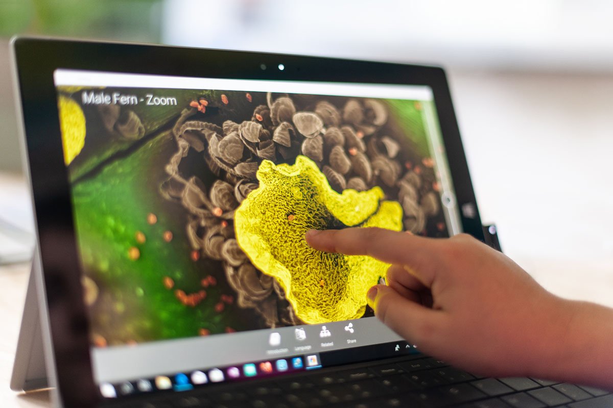 interactive monitor for education by i3 technologies being used in classrooms